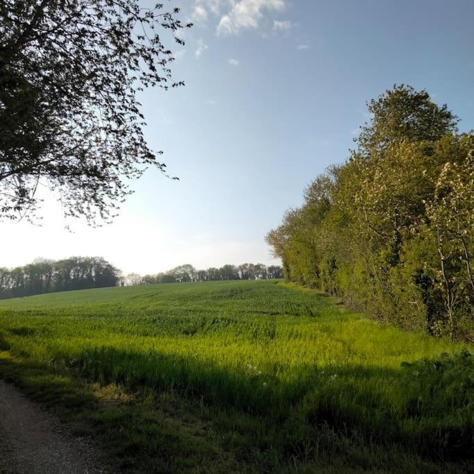 Вілла Le Cinq, Au Coeur Du Vexin Themericourt Екстер'єр фото